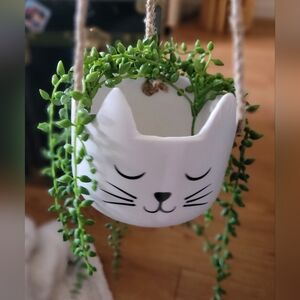 Hanging cat planter with fake plant and hook